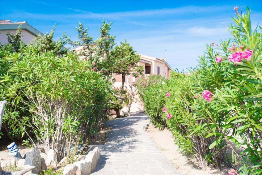 Baia Delle Mimose Badesi Exterior foto